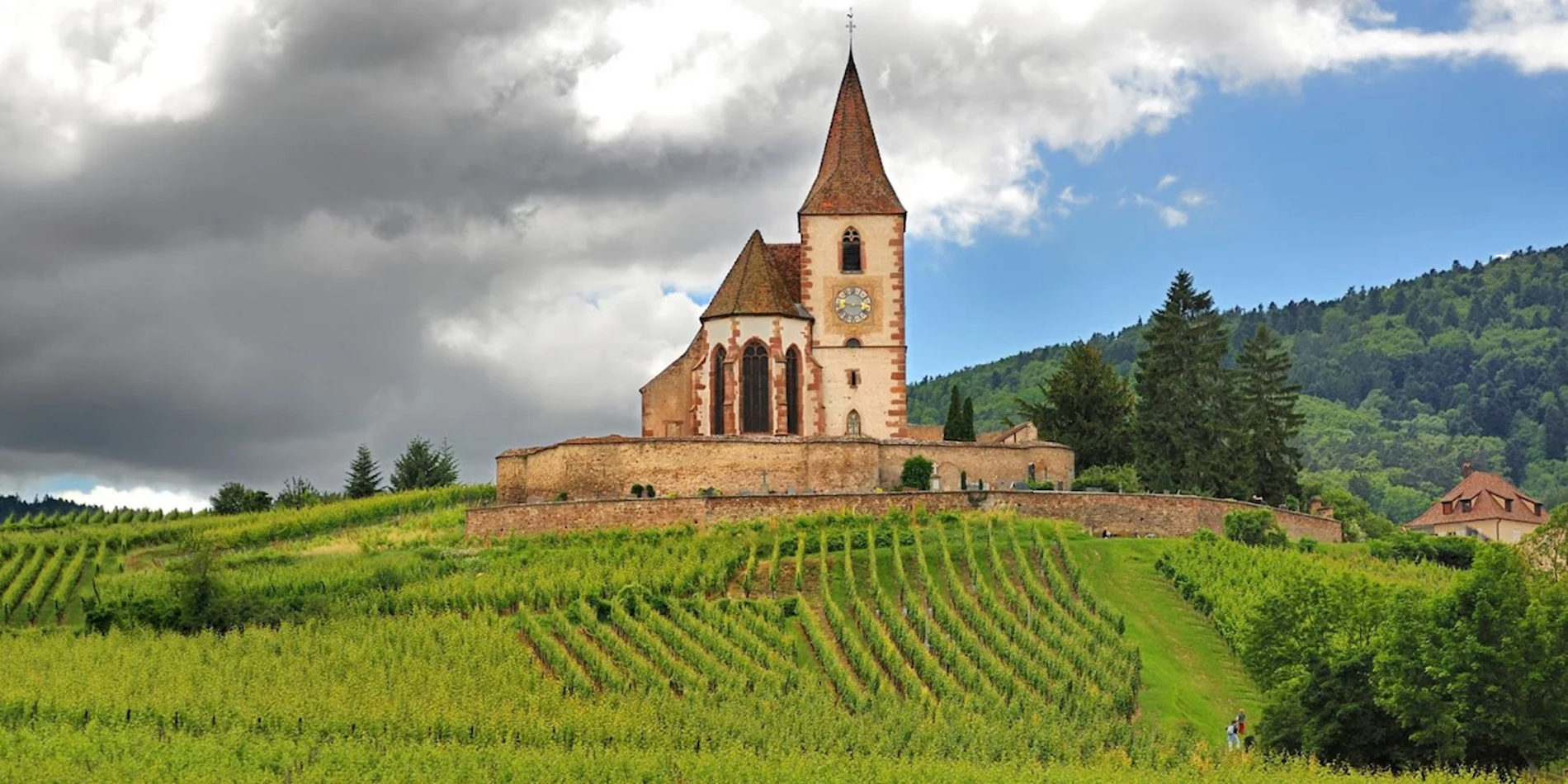 Alsace with Jean Trimbach