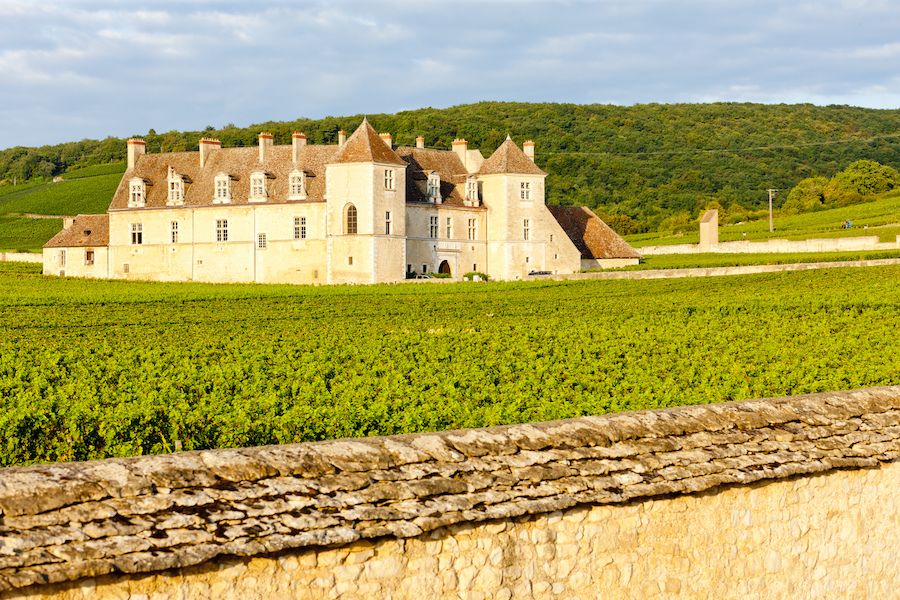 Introduction To Burgundy - Announcements - E-Learning - GuildSomm ...