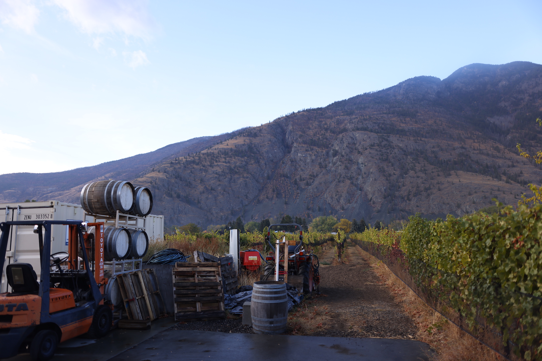 Landscape with wine barrels in the foreground