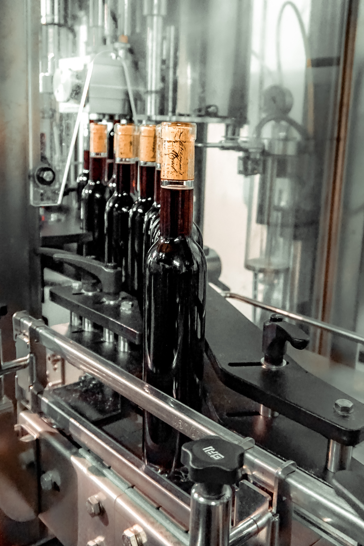 Narrow bottles filled with mead on the bottling line