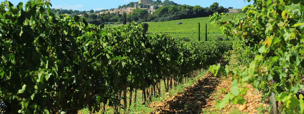 Châteauneuf-du-Pape: The News of Old