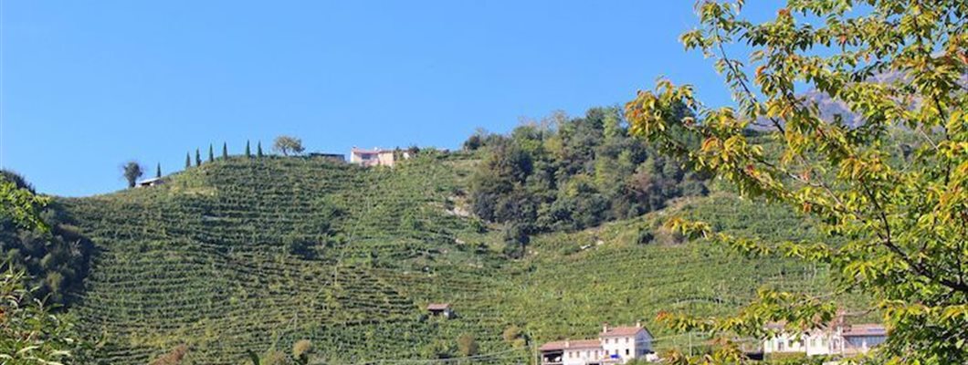 Cartizze: Prosecco’s Peculiar Grand Cru