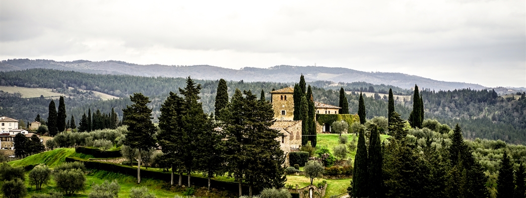 Chianti Classico: Past, Present, and Future