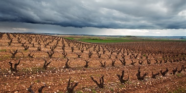 Vintage Decades: The 1990s in Rioja and Northern Rhône